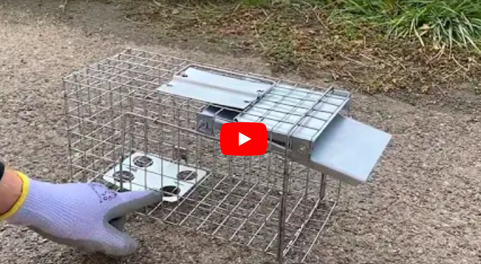 Snímka obrazovky 2025-08-03 o 12.59.20